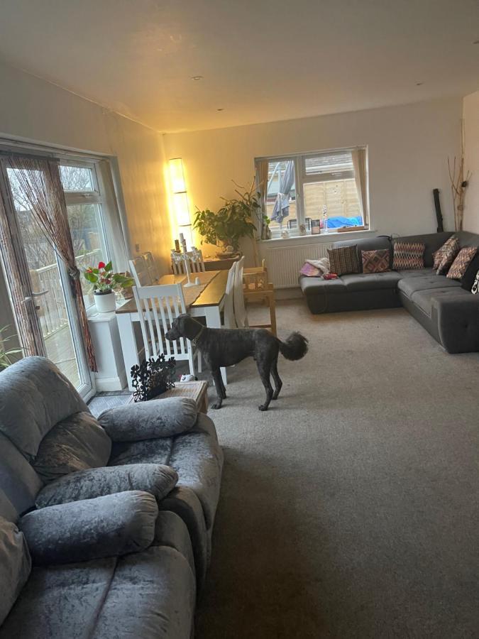 Cosy Beach Getaway Saltdean 외부 사진
